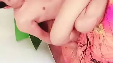 Desi Sexy Cpls Blowjob and Fucking 2 Clips Part 2